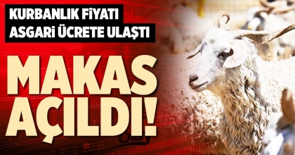 MAKAS AÇILDI!