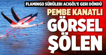 PEMBE KANATLI GÖRSEL ŞÖLEN