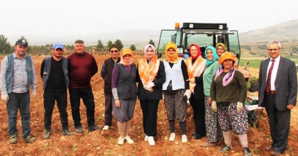 POŞUSUNU TAKTI KEKİK DİKTİ