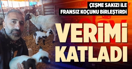 VERİMİ KATLADI