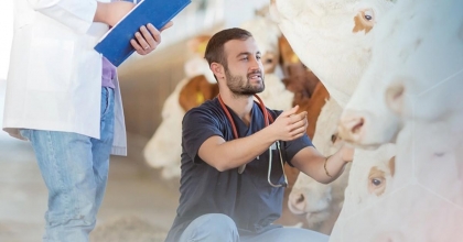 VETERİNER DANIŞMANLIĞINDA YENİ DÖNEM BAŞLIYOR