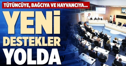 YENİ DESTEKLER YOLDA
