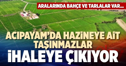 ACIPAYAM’DA HAZİNEYE AİT TAŞINMAZLAR İHALEYE ÇIKIYOR