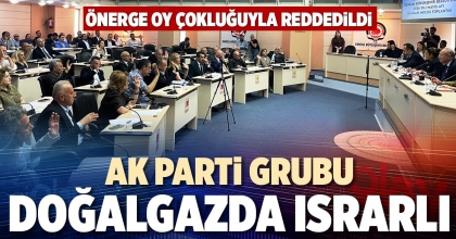 AK PARTİ GRUBU DOĞALGAZDA ISRARLI