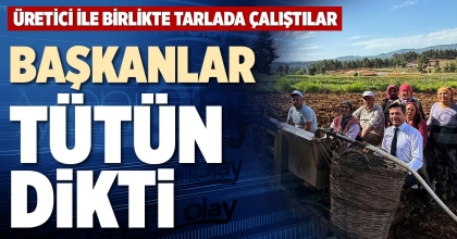 BAŞKANLAR TÜTÜN DİKTİ