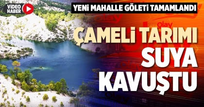 ÇAMELİ TARIMI SUYA KAVUŞTU