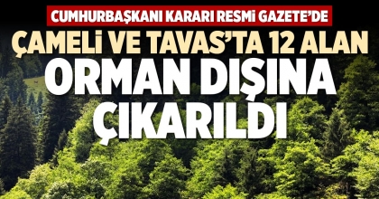 ÇAMELİ VE TAVAS’TA 12 ALAN ORMAN DIŞINA ÇIKARILDI