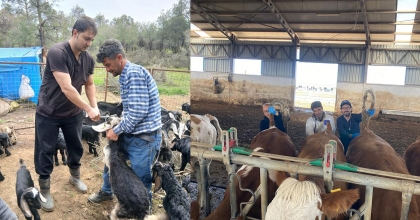 DENİZLİ’DE HAYVAN SAĞLIĞI ÇALIŞMALARI SÜRÜYOR