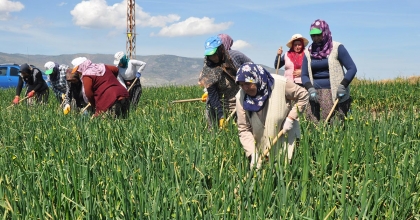 DENİZLİ’DE KADIN ÜRETİCİLERE GIDA GÜVENLİĞİ EĞİTİMİ VERİLECEK