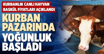 DENİZLİ KURBAN PAZARINDA YOĞUNLUK BAŞLADI
