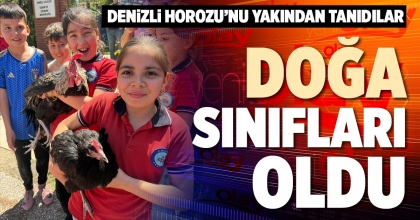 DOĞA SINIFLARI OLDU