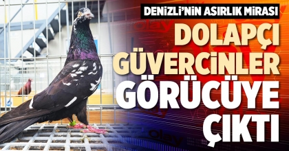 DOLAPÇI GÜVERCİNLER GÖRÜCÜYE ÇIKTI