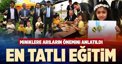 EN TATLI EĞİTİM