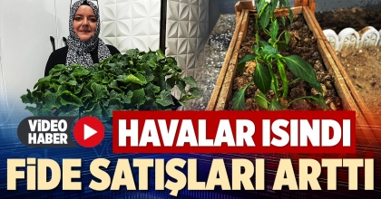  FİDE SATIŞLARI ARTTI
