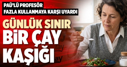 GÜNLÜK SINIR BİR ÇAY KAŞIĞI