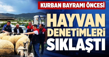 HAYVAN DENETİMLERİ SIKLAŞTI