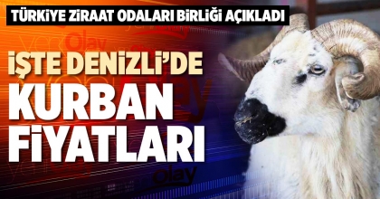 İŞTE DENİZLİ’DE KURBAN FİYATLARI