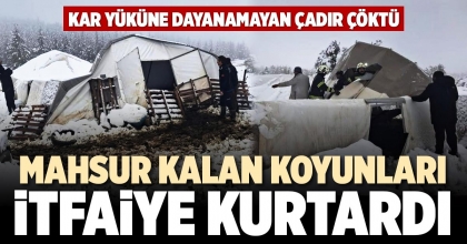 MAHSUR KALAN KOYUNLARI İTFAİYE KURTARDI