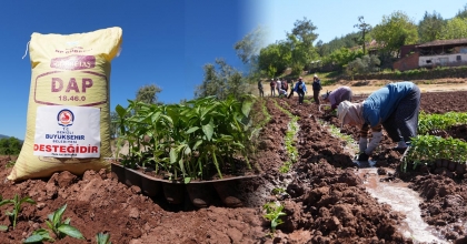 KALE BİBERİ ÜRETİCİSİNE GÜBRE DESTEĞİ