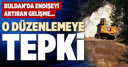 O DÜZENLEMEYE TEPKİ