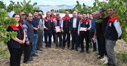 TAVAS'TA AYVA BAHÇELERİNDE KİMYASALSIZ BİYOTEKNİK MÜCADELE BAŞLADI