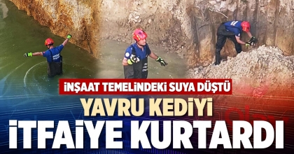 YAVRU KEDİYİ İTFAİYE KURTARDI