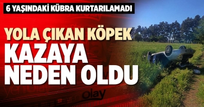 YOLA ÇIKAN KÖPEK KAZAYA NEDEN OLDU