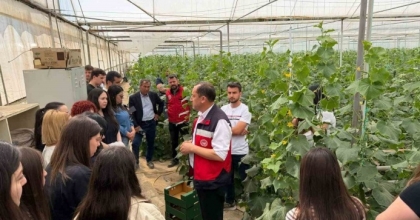 SİMAV’DA GENÇLER SERADA HASATLA BULUŞTU
