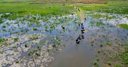EBER GÖLÜ’NDE OLUŞAN MANZARA SERENGETİ PARKI’NI ARATMADI