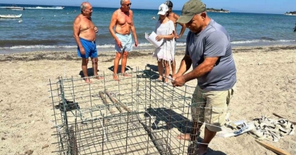 DİDİM’DE İKİNCİ CARETTA YUVASI KORUMA ALTINA ALINDI
