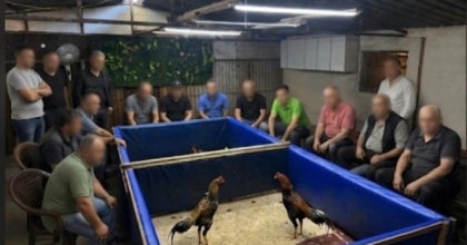 İZMİR’DE HOROZ DÖVÜŞÜ OPERASYONU: ÇİFTLİK MÜHÜRLENDİ, 130 BİN LİRA CEZA KESİLDİ
