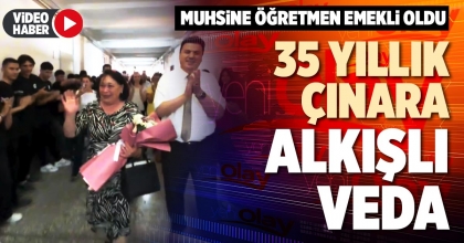35 YILLIK ÇINARA ALKIŞLI VEDA