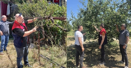 AŞIRI YAĞIŞ VE DOLU SONRASI HASAR TESPİT ÇALIŞMALARI SÜRÜYOR