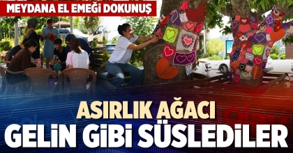 ASIRLIK AĞACI GELİN GİBİ SÜSLEDİLER
