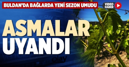ASMALAR UYANDI
