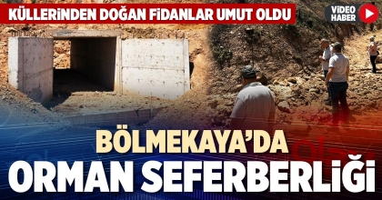 BÖLMEKAYA’DA ORMAN SEFERBERLİĞİ