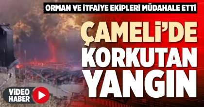 ÇAMELİ’DE KORKUTAN YANGIN