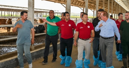 ÇARDAK’TA HAYVANCILIĞA YERİNDE DESTEK