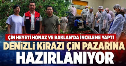 DENİZLİ KİRAZI ÇİN PAZARINA HAZIRLANIYOR