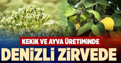 KEKİK VE AYVA ÜRETİMİNDE DENİZLİ ZİRVEDE