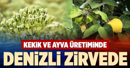 KEKİK VE AYVA ÜRETİMİNDE DENİZLİ ZİRVEDE