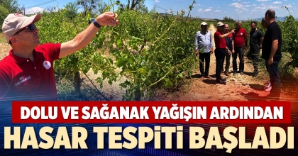 DOLU VE SAĞANAK YAĞIŞIN ARDINDAN HASAR TESPİTİ BAŞLADI
