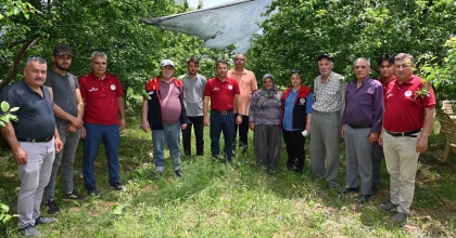 ERİK VE ELMA BAHÇELERİNDE İNCELEME