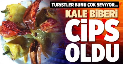 KALE BİBERİ CİPS OLDU