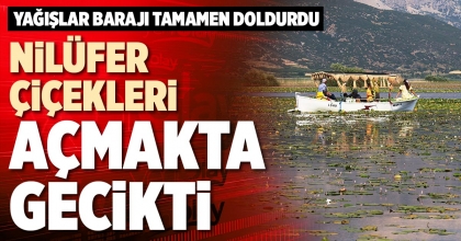 NİLÜFER ÇİÇEKLERİ AÇMAKTA GECİKTİ