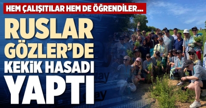 RUSLAR, GÖZLER’DE KEKİK HASADI YAPTI