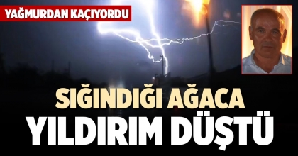 SIĞINDIĞI AĞACA YILDIRIM DÜŞTÜ