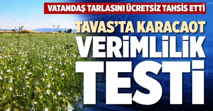 TAVAS’TA KARACAOT VERİMLİLİK TESTİ
