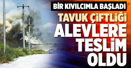 TAVUK ÇİFTLİĞİ ALEVLERE TESLİM OLDU