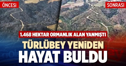 TÜRLÜBEY YENİDEN HAYAT BULDU